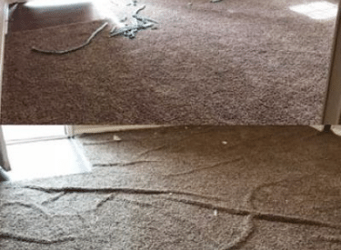 after before repair service by beclean carpet repair services