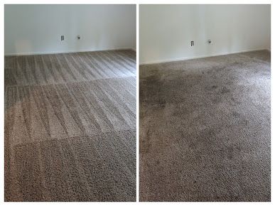beclean carpet cleaning service before after